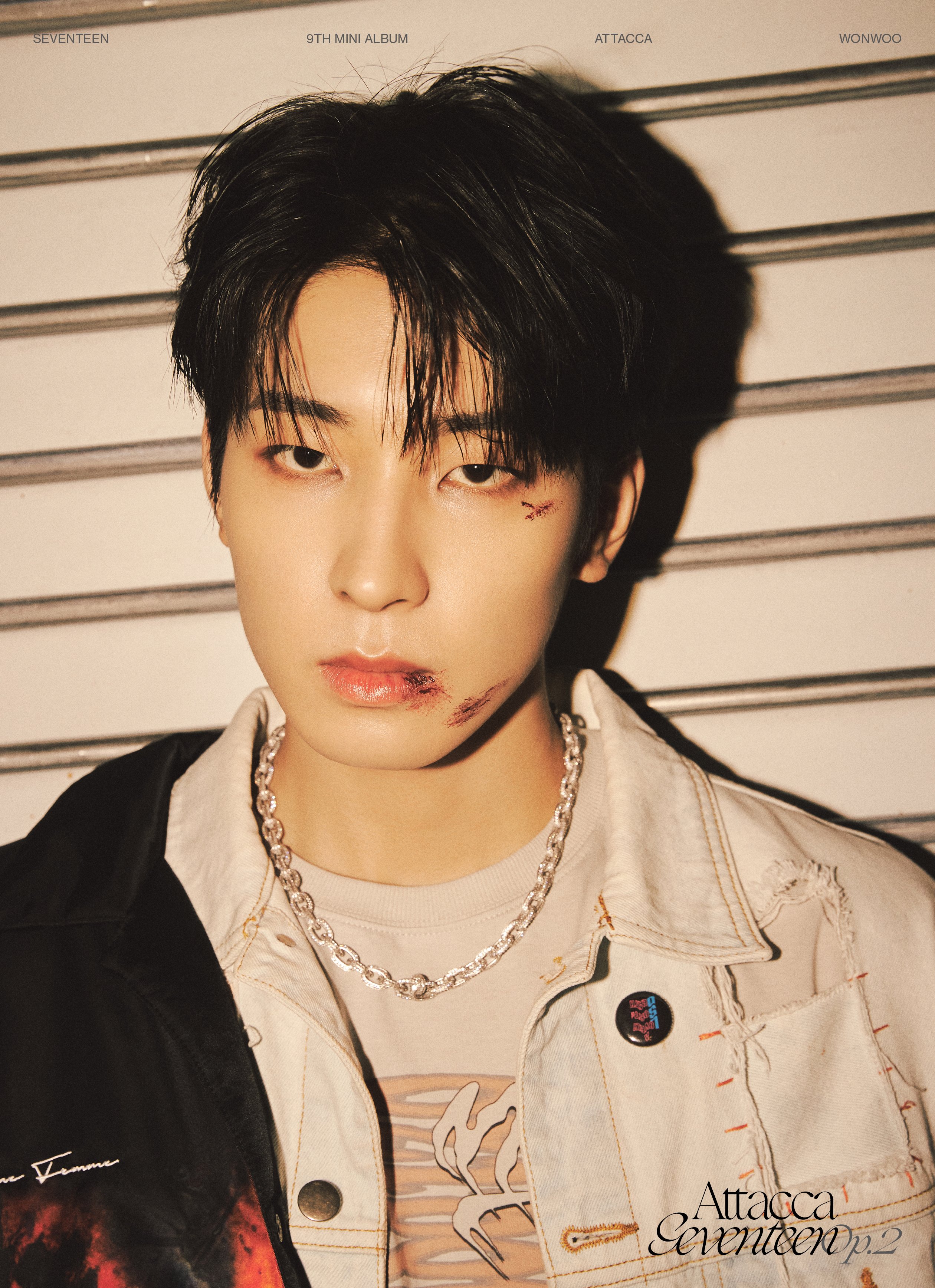 [잡담] 세븐틴 팬들아 미안 | 인스티즈