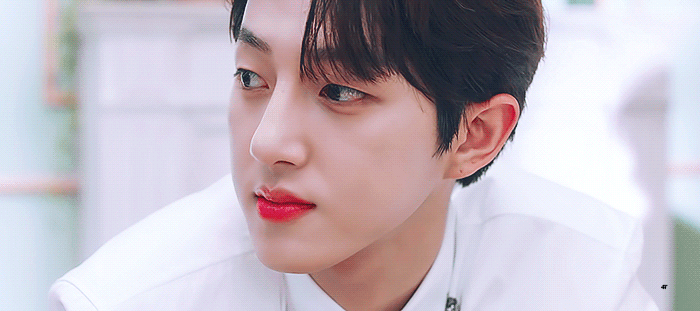 [잡담] 나는야 들튀할거야 | 인스티즈