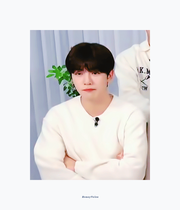 [잡담] 내 아기곰도리 | 인스티즈