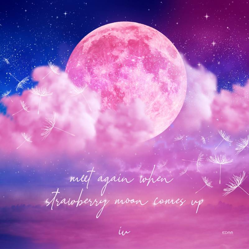 19일(화), 아이유 strawberry moon 발매🍓🌝 | 인스티즈