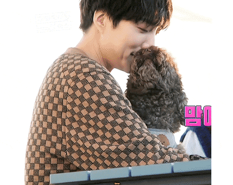 [잡담] 익들아 심심하니까 본진 반려동물 자랑타임ㄱㄱ | 인스티즈