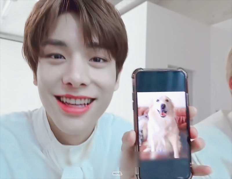 [잡담] 엔하이픈에 제이크가 요즘 뇌정지 올만큼 너무 좋음 | 인스티즈