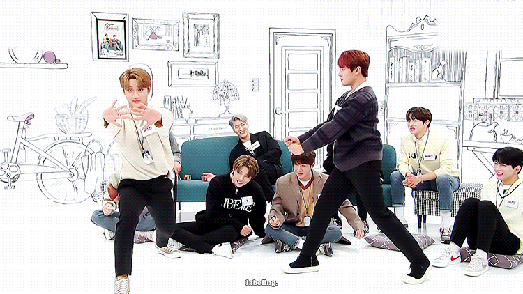 [잡담] 합기도 검도를 한 공간에서 보면 | 인스티즈