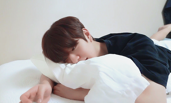 [잡담] 주인이 강아지 사랑하는건 무슨 증상이니? | 인스티즈