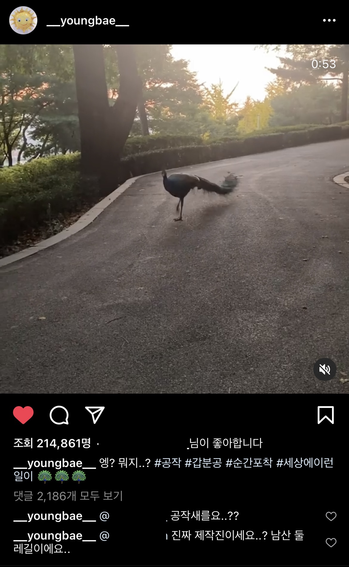 [잡담] 아 난 태양이 왜케 웃기지 | 인스티즈