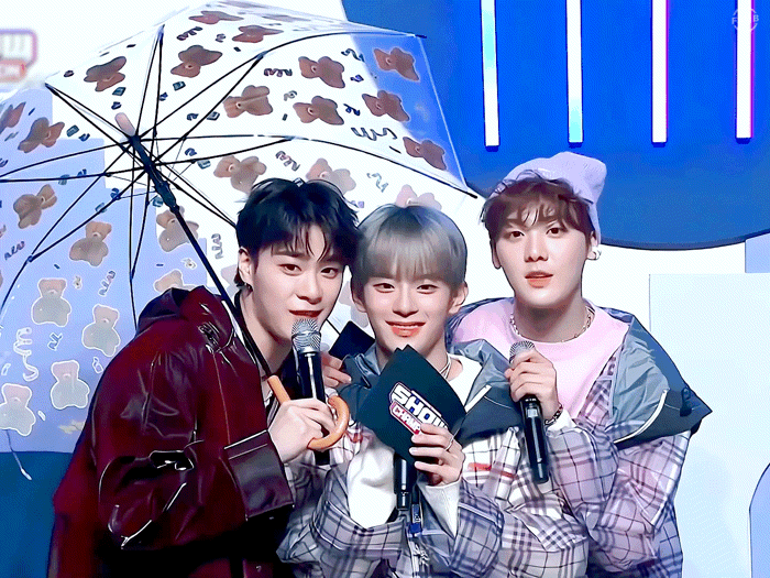 [잡담] 얘네 때문에 수요일이 너무 행복하다,,, | 인스티즈