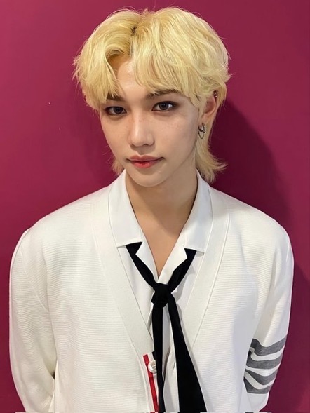 [잡담] 필릭스 이 사진 진짜 잘키운 부잣집 고양이같아 | 인스티즈