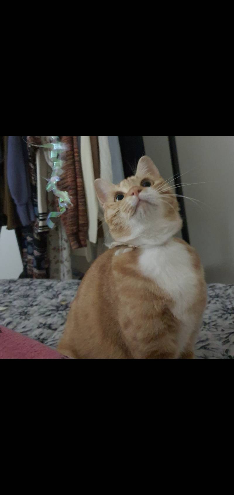 +추가 친구가 안입는 옷이라고줬는데 어케입는거 대체? | 인스티즈