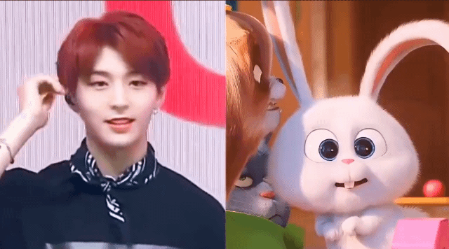 [잡담] 꺄 스노우볼이다 | 인스티즈