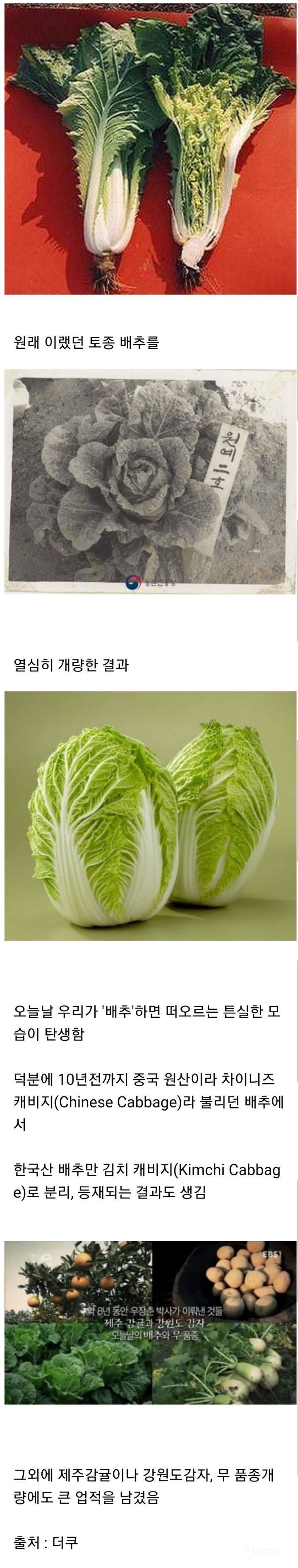 우장춘 박사님 작품인 채소들 | 인스티즈