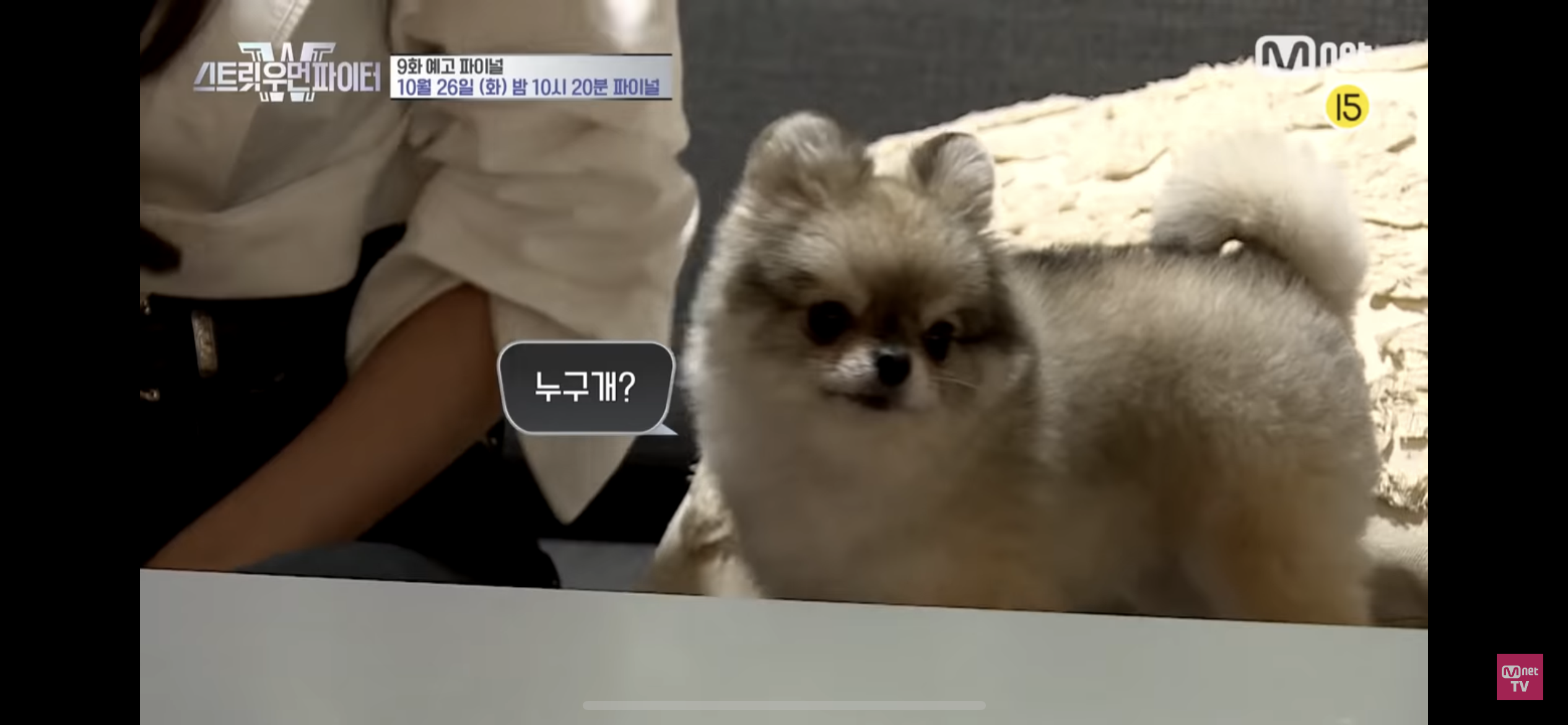 [잡담] 스우파 청하 라치카 만나는 장면에 강아지 누구 강아지야ㅠㅠㅠㅠㅠㅠㅠㅠㅠㅠㅠ??? | 인스티즈