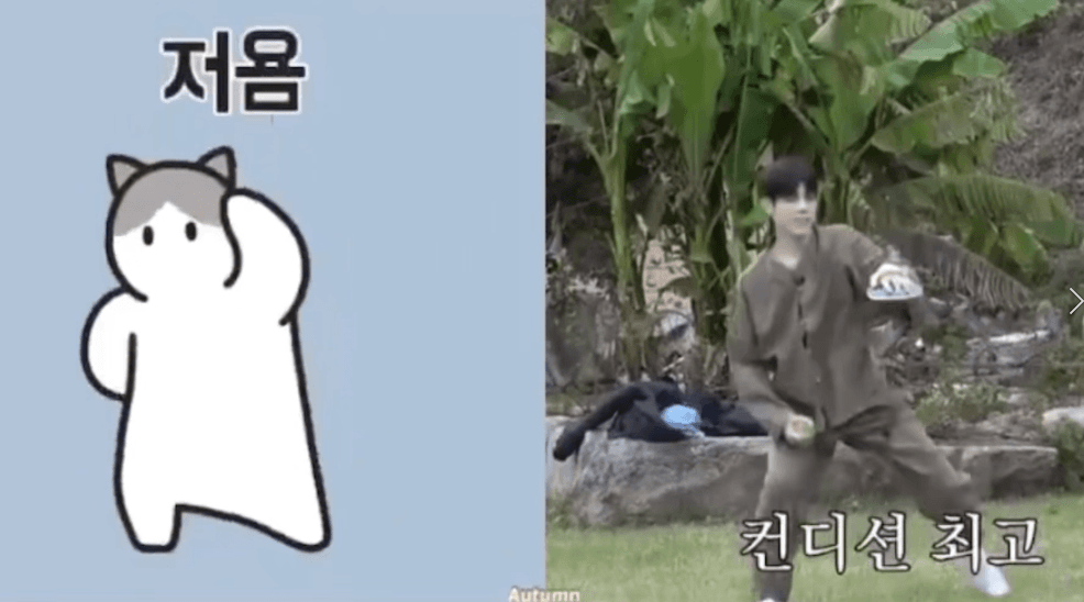 [잡담] 자 이제 누가 사람이고 누가 먐미지 | 인스티즈