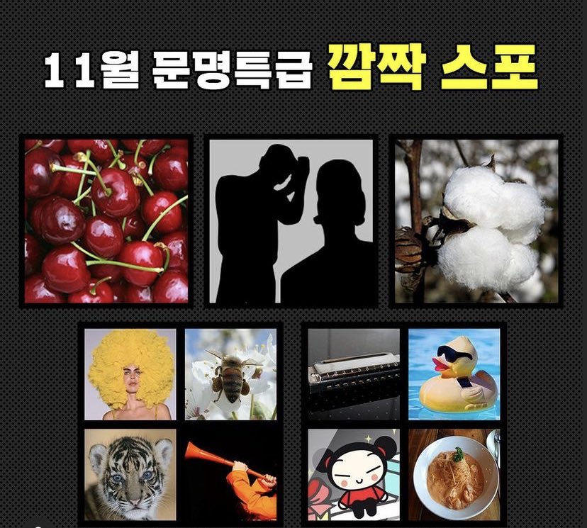 [잡담] 문특 체리사진 | 인스티즈