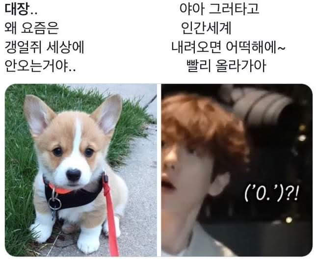 [잡담] 백현 이거 | 인스티즈