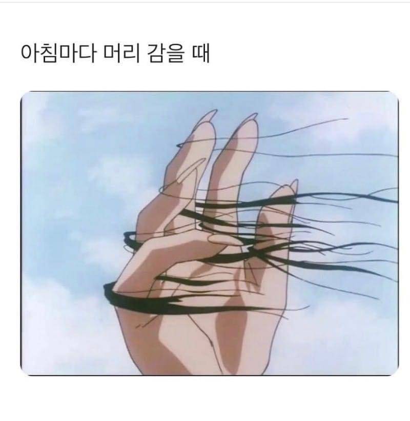 이 짤 애니 뭐야??? | 인스티즈