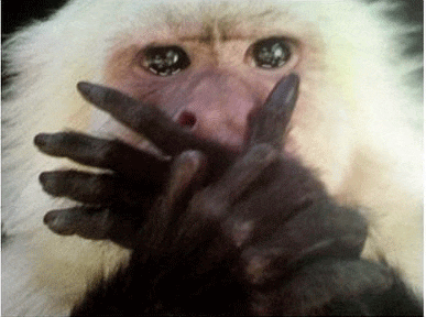 [OnAir] 백이진 입막을 때 마다 그 원숭이 짤 생각나.. | 인스티즈