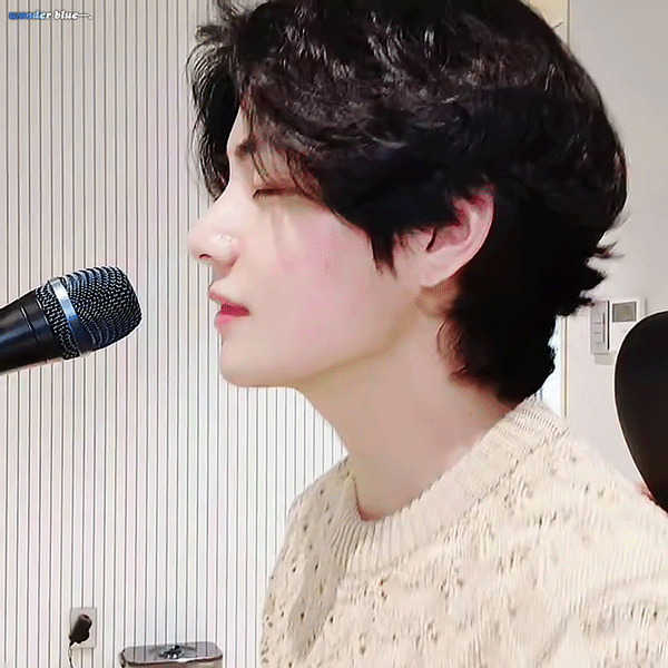 [잡담] 이런 코 가진 돌 또 있나 | 인스티즈