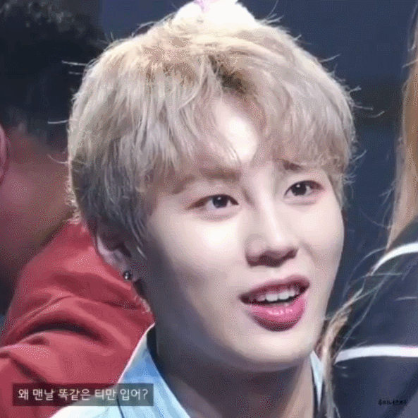 [잡담] 취향 중구난방이고 남돌 박애주의자의 갤러리 털기,, | 인스티즈