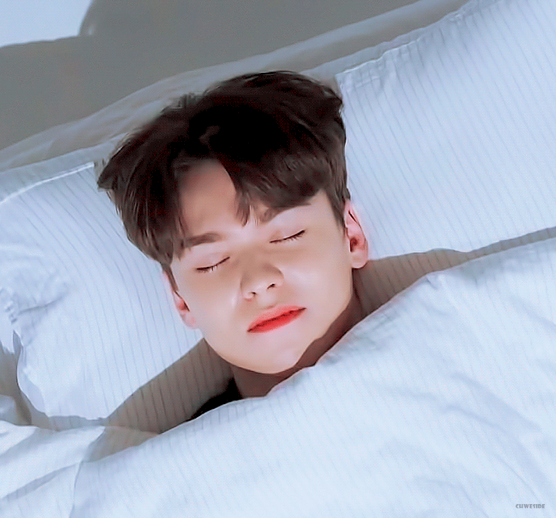 [잡담] 버논 진짜 워더하고 싶지만 하지 않겠어 | 인스티즈