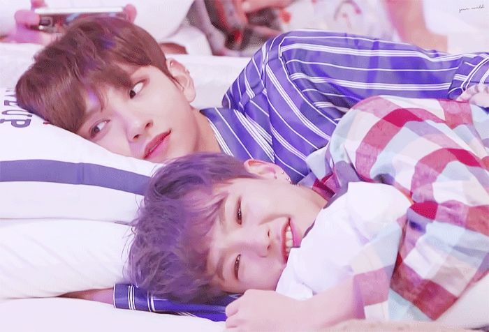 [잡담] 호시 호랑이임 반박불가 호랑이 | 인스티즈