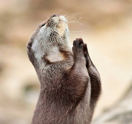 부산 사는 익 or 부산 많이 놀러가는 익들아!!!! 질문있어!!!! | 인스티즈