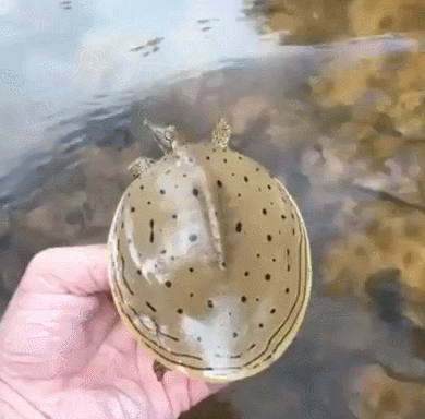 자꾸 자라고 하면 안되는 이유 ㄷㄷ | 인스티즈