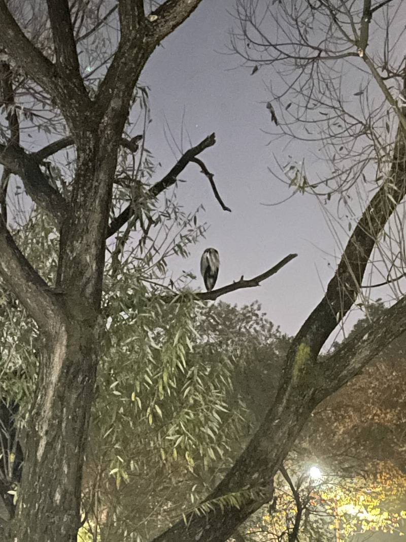 아니 이거 새야????? 뭐지??? | 인스티즈