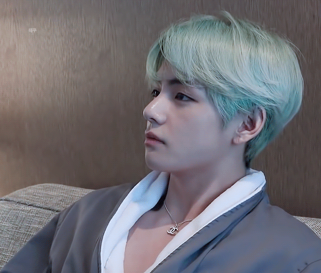 [잡담] 이런 코 가진 돌 또 있나 | 인스티즈