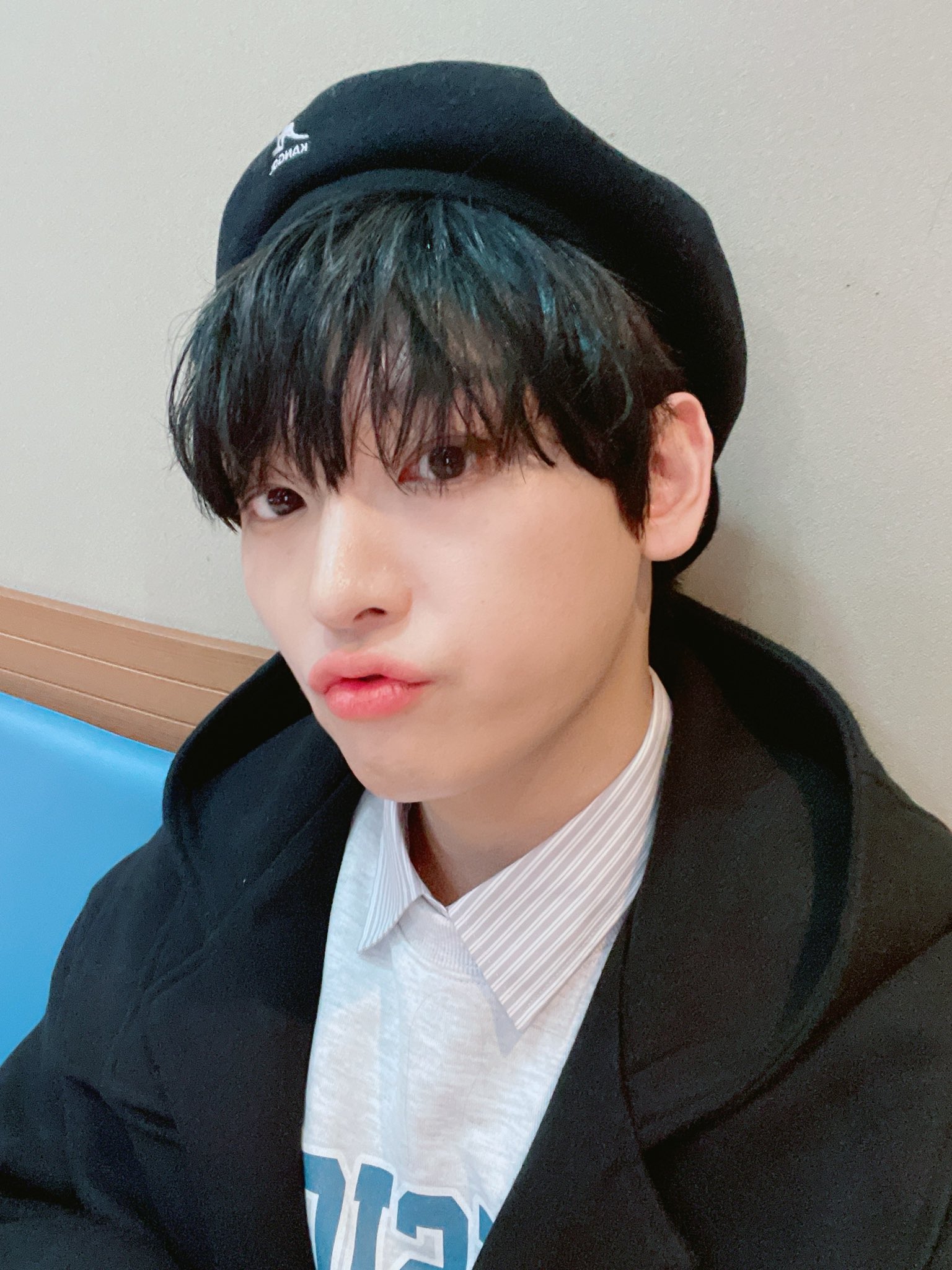 [잡담] 귀염둥이들.. 너무 보고싶어서 우럭 | 인스티즈