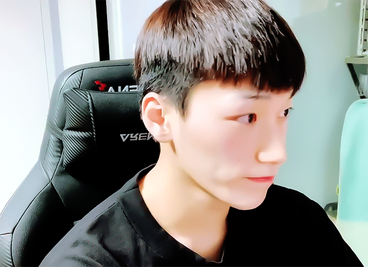 [잡담] 최산 따끈말랑포근고양이... | 인스티즈