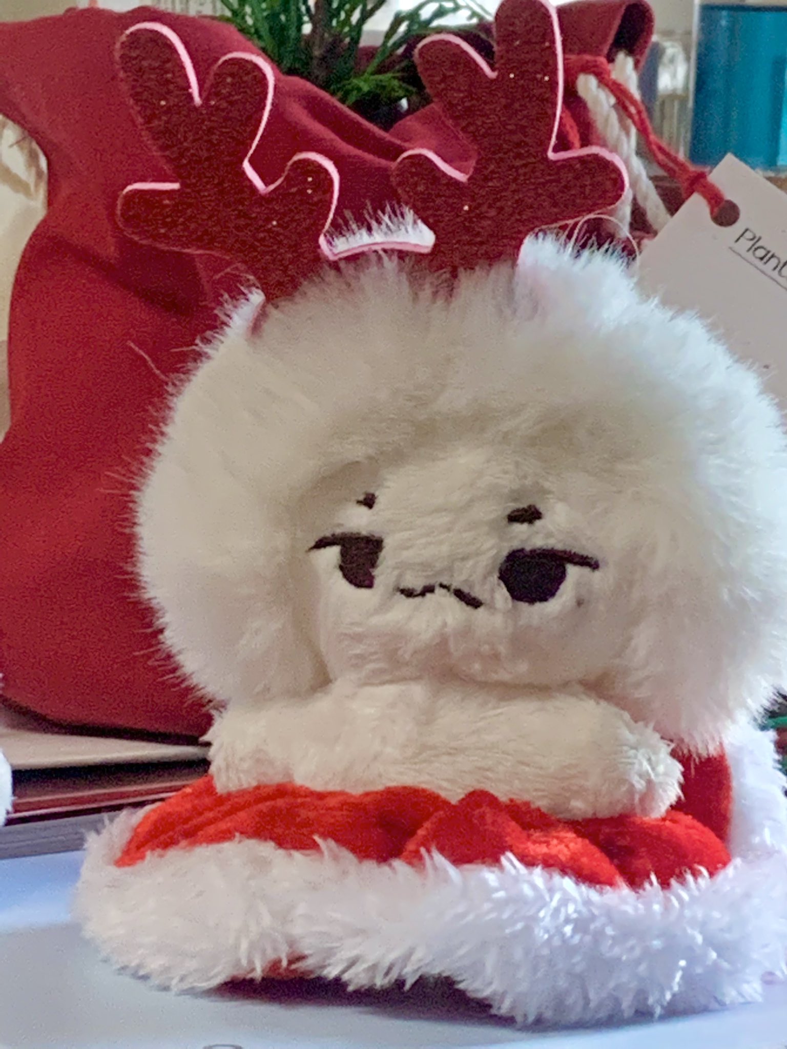 [잡담] 이거 어떤 아이돌 인형이야? | 인스티즈