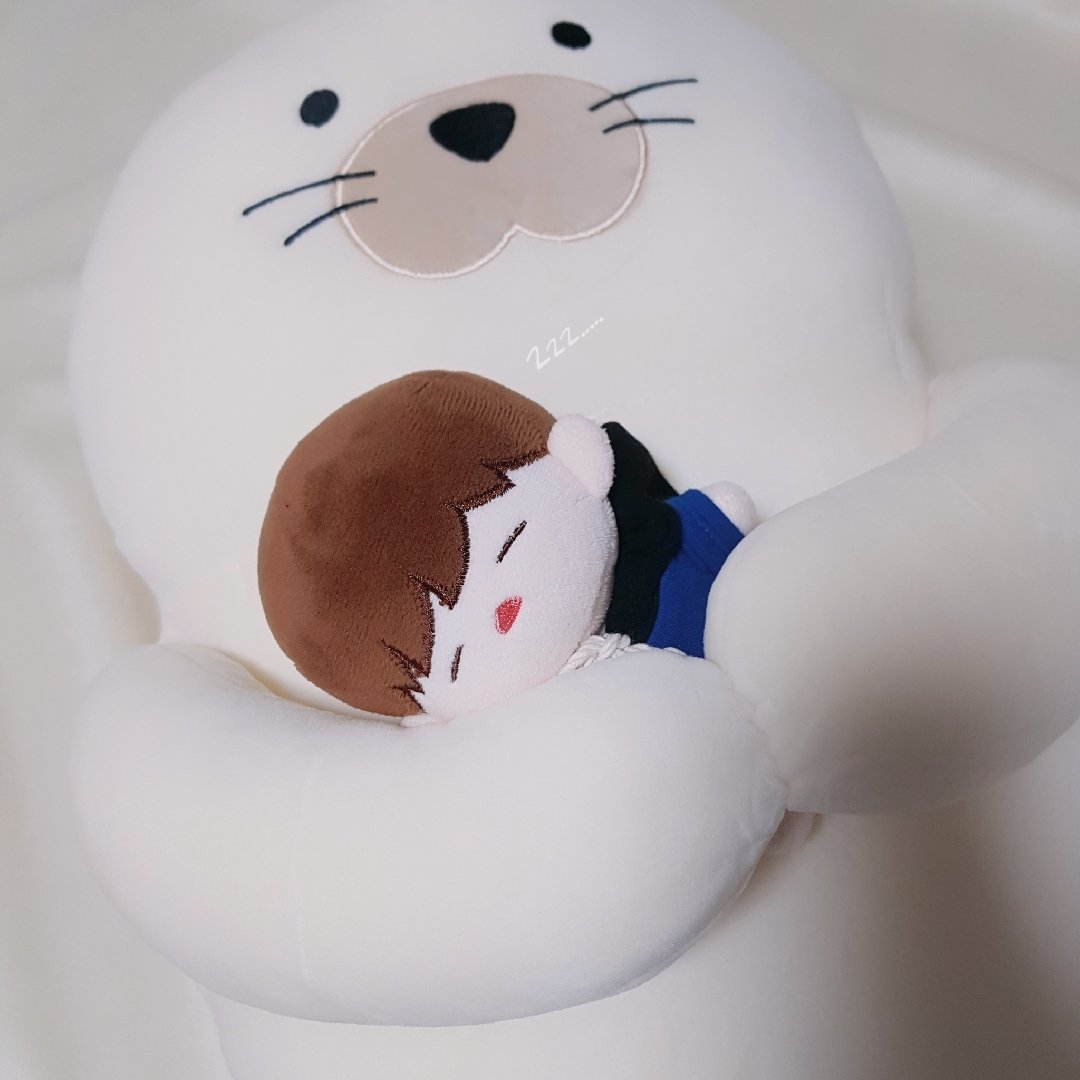 [잡담] 나 한 아이돌 인형 팬 아닌데 저장한 사진 개많음 | 인스티즈