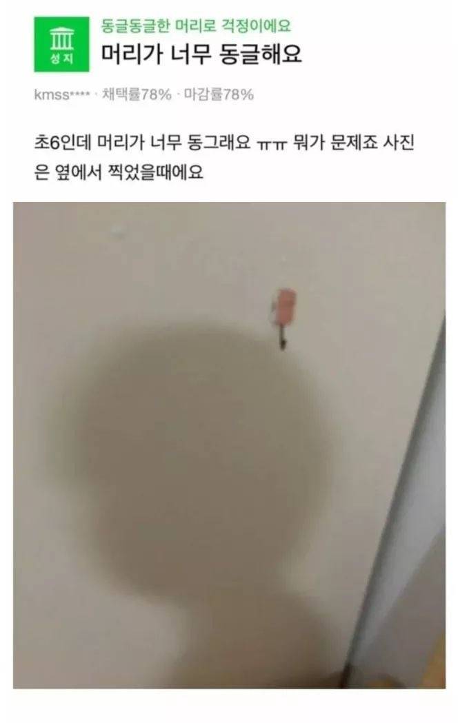 이 짤 진짜 귀엽지않아? 다 들어와바 | 인스티즈