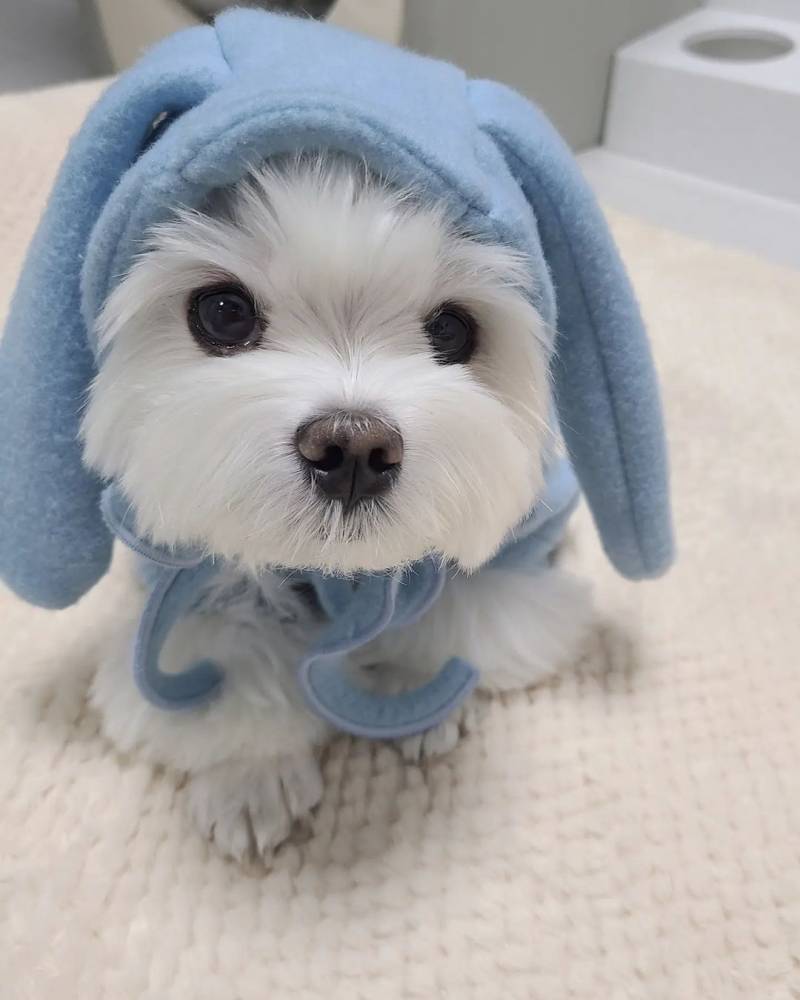 아 진짜 경태 너무 귀여워 ㅜㅜ | 인스티즈