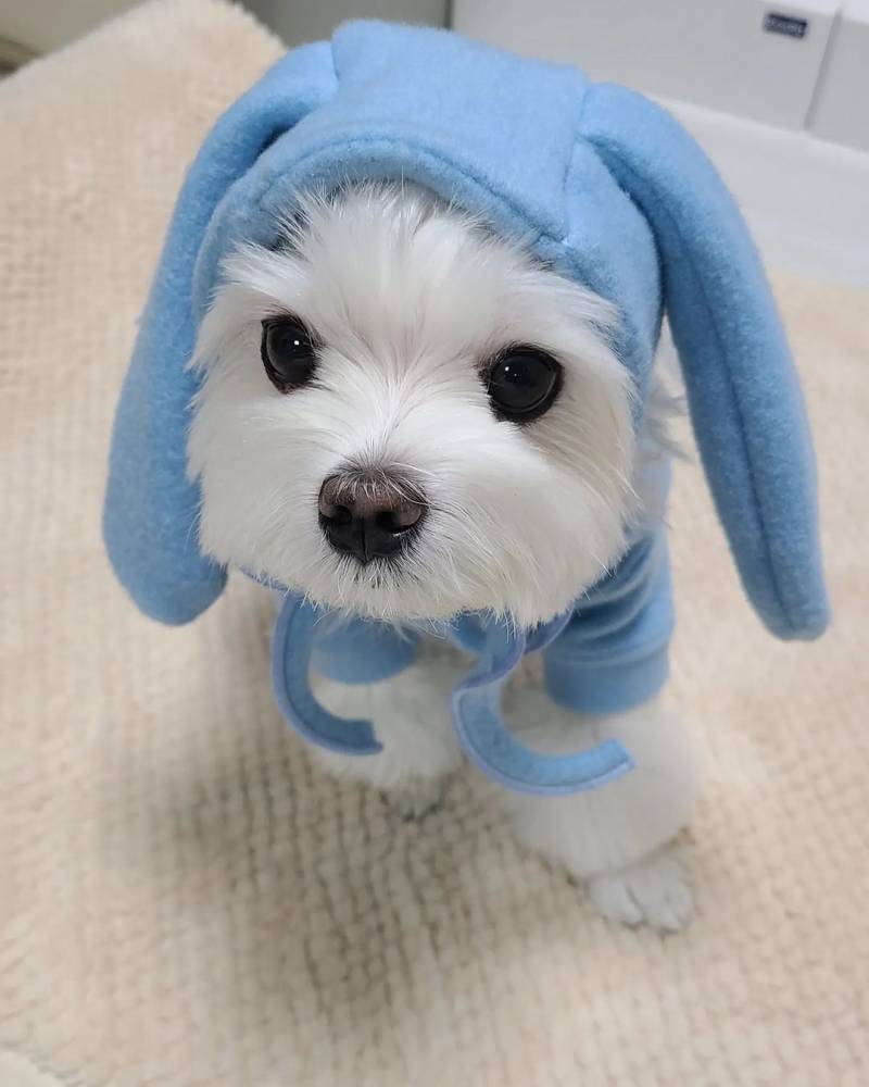 아 진짜 경태 너무 귀여워 ㅜㅜ | 인스티즈