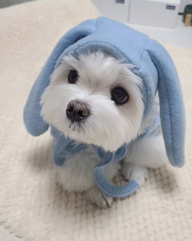 아 진짜 경태 너무 귀여워 ㅜㅜ | 인스티즈