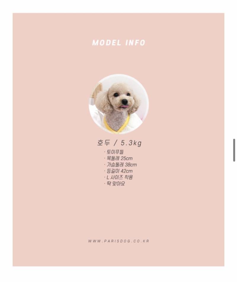 강아지옷 새상품 양털 올인원 후리스 한파 대비 L사이즈 2개 묶음 판매 | 인스티즈