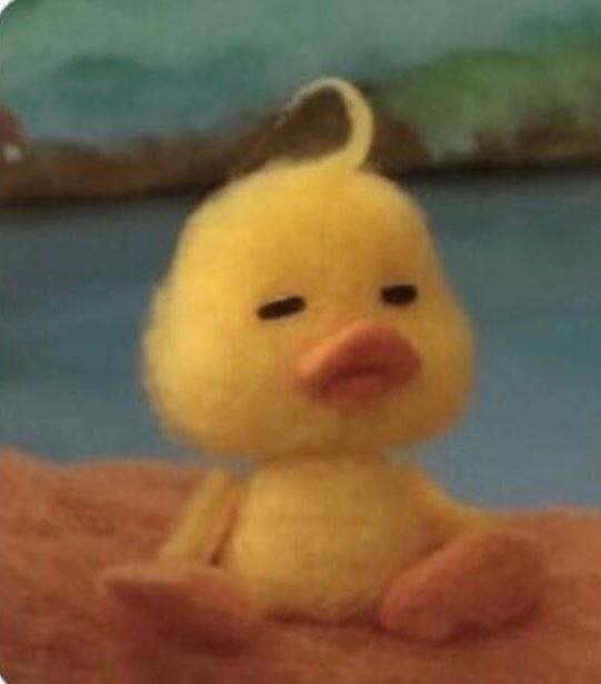 이 친구는 이름이 뭐야? | 인스티즈