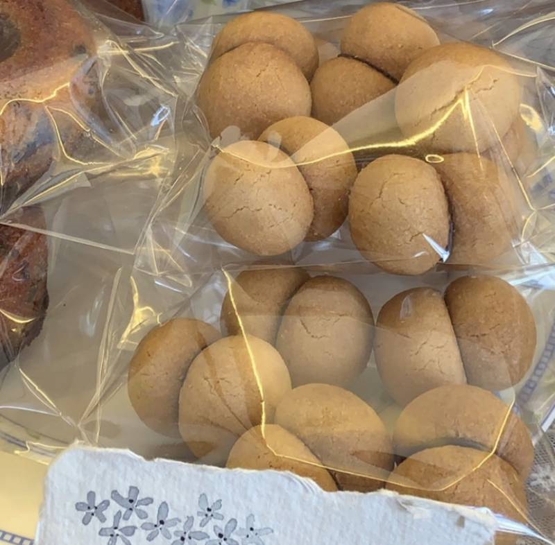 얘들아 이쿠키 고양이뽕알 닮지 않았냐 | 인스티즈