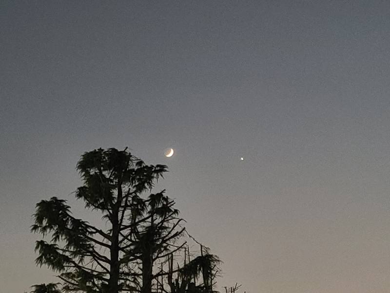 달이랑 별이랑 일자로 있다 | 인스티즈