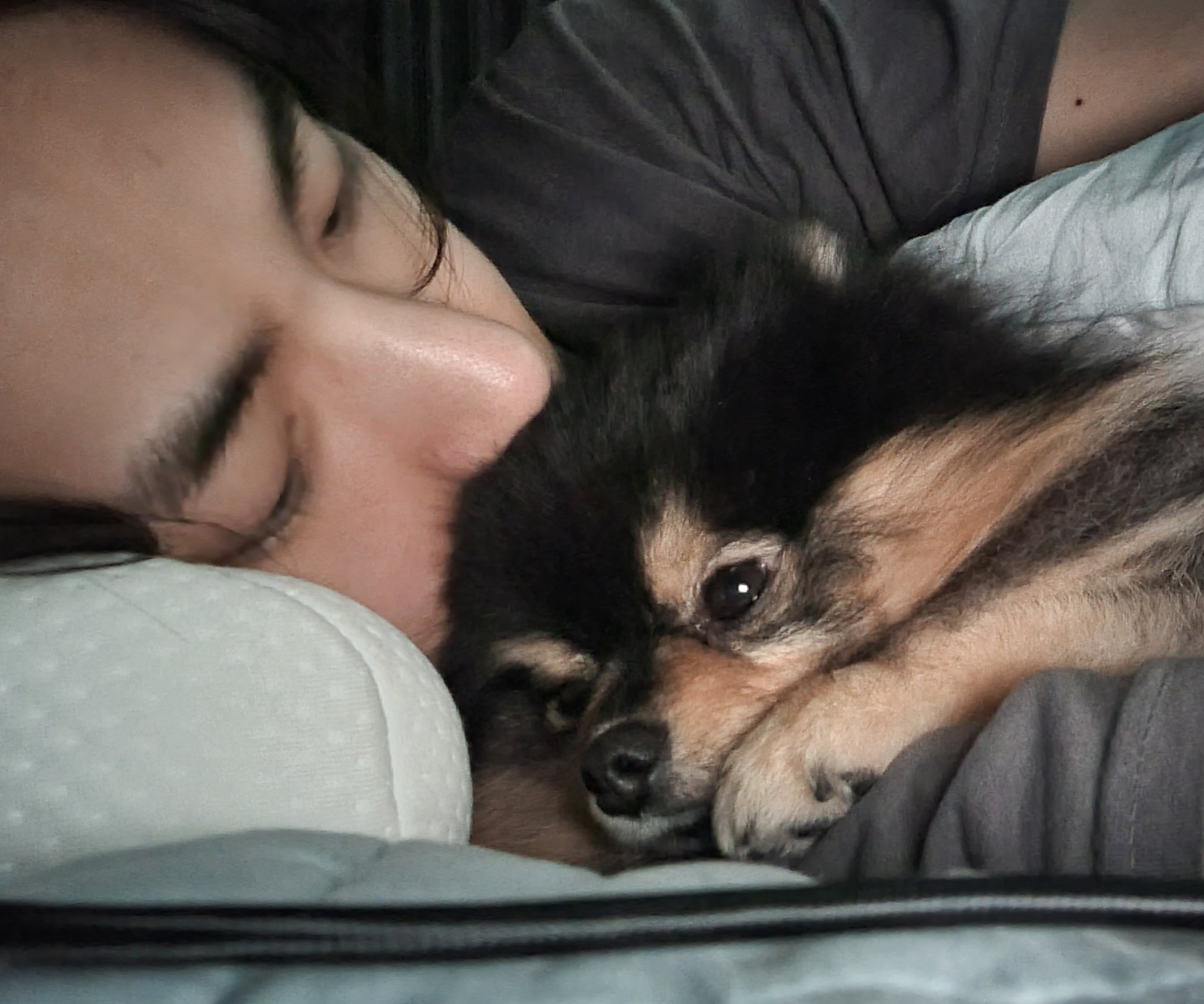 [잡담] 연탄이 아프다는거 이거얌.. | 인스티즈