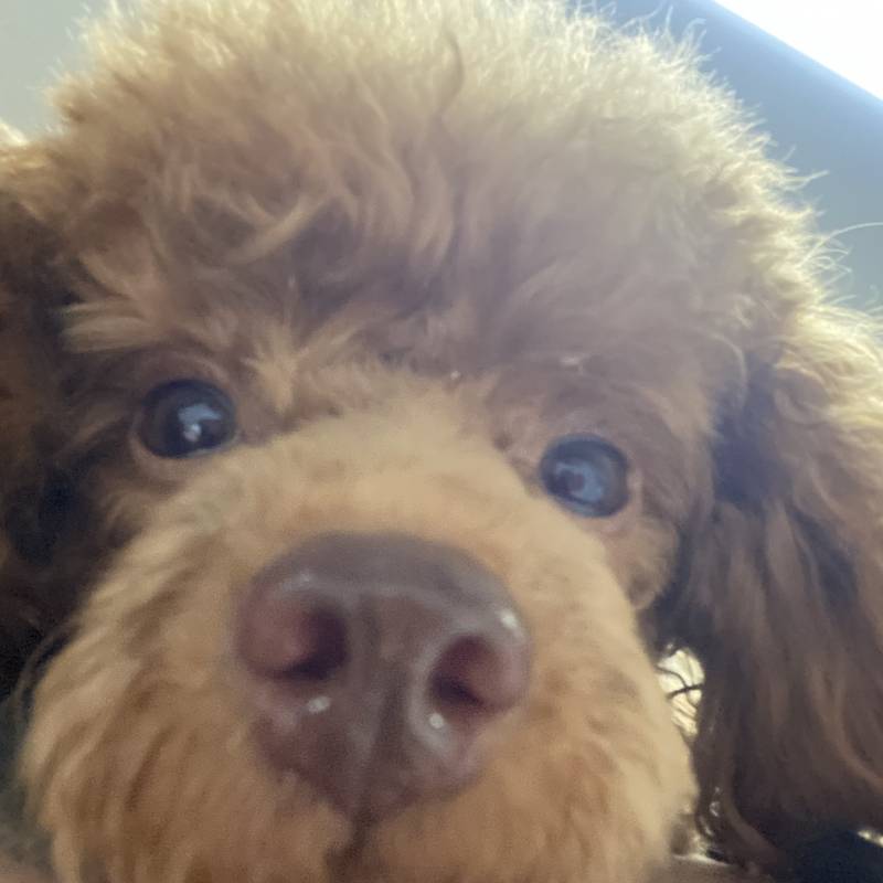 정신이 드십니까?? | 인스티즈