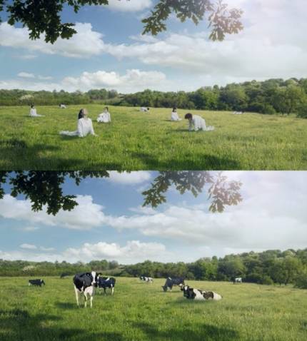 여성을 젖소로 비유한 서울우유 광고 논란…불매운동 조짐도 | 인스티즈