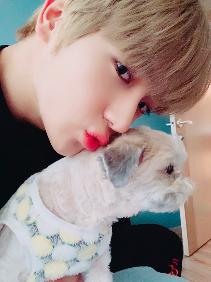 [잡담] 이재현 더보이즈 현재 다롱이 이 사진 겁나 마음에 들어할만도 함 | 인스티즈