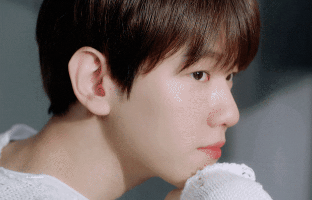 [잡담] 제 취향 최애 모아보았습니다 | 인스티즈