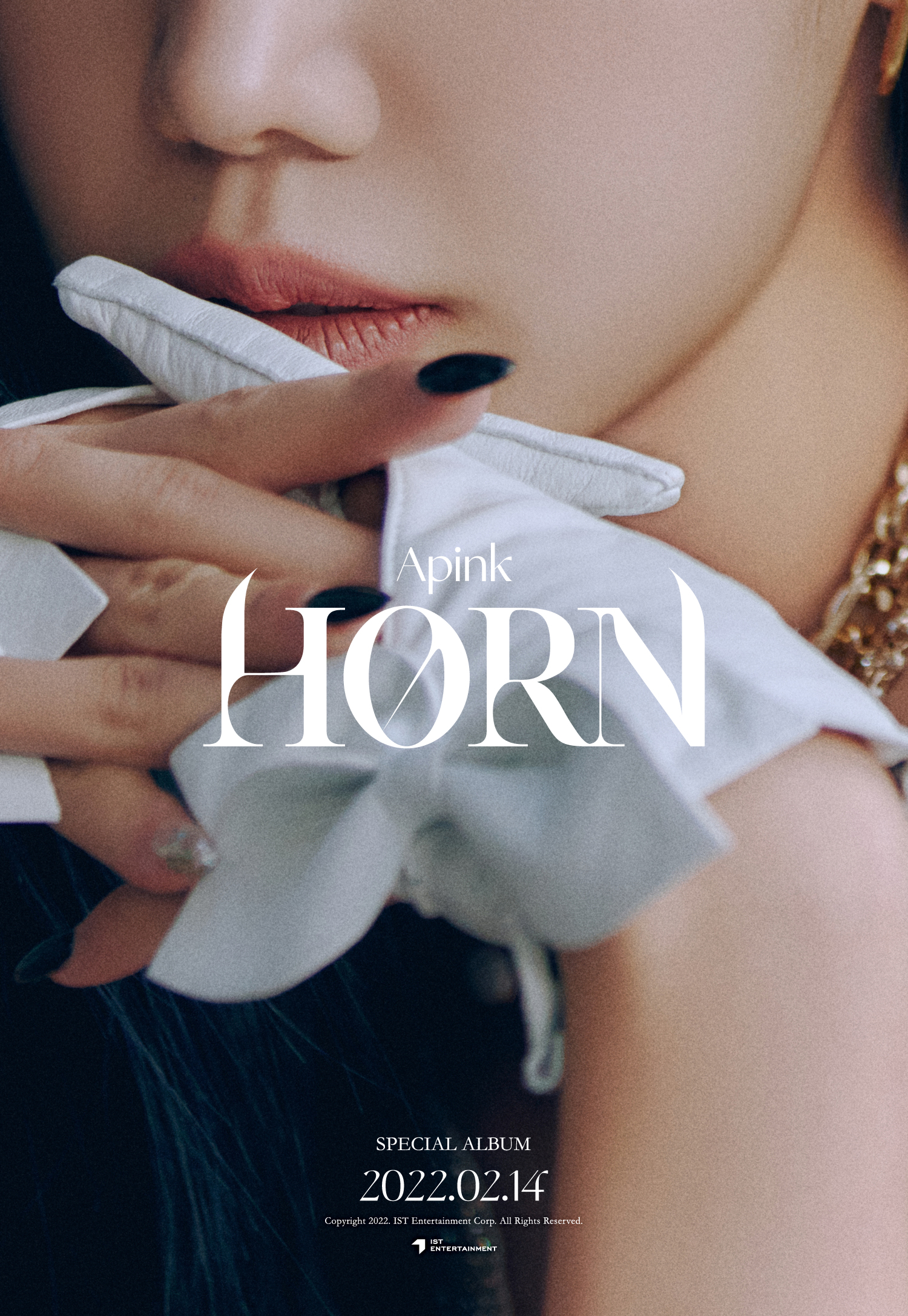 [정보/소식] 에이핑크 Apink Special Album [HORN] 2022.02.14 18:00 | 인스티즈