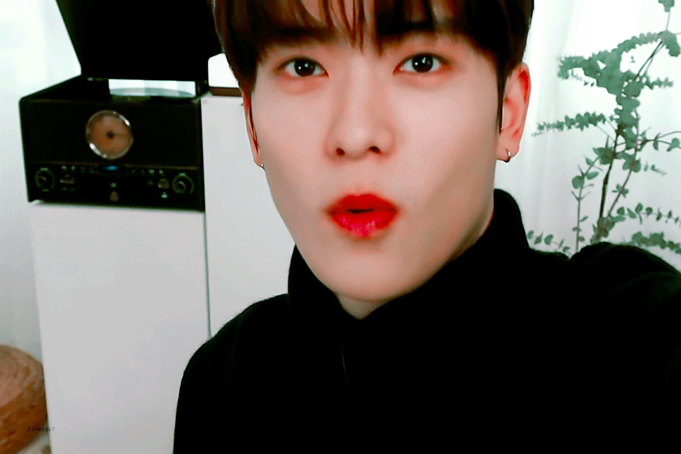 [잡담] 고양이가 아니면 뭐란 말임 | 인스티즈