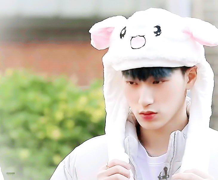 [잡담] 고양이과다그룹에서 당당히 고양이 모에화를 차지한 남자 | 인스티즈