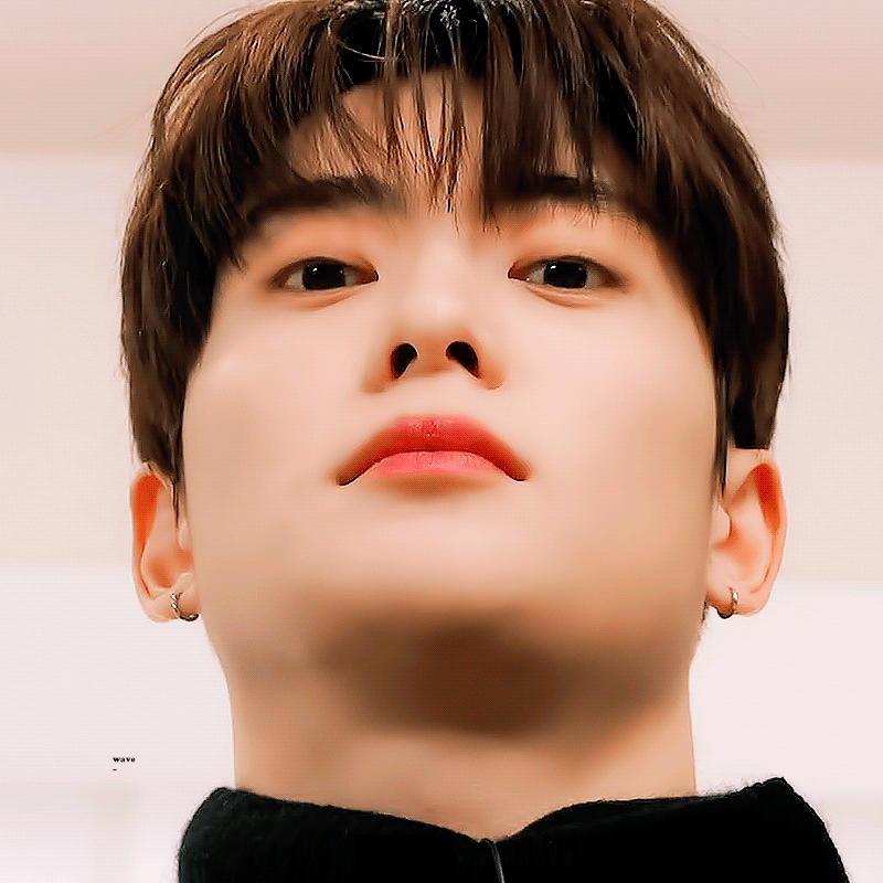 [잡담] 고양이가 아니면 뭐란 말임 | 인스티즈