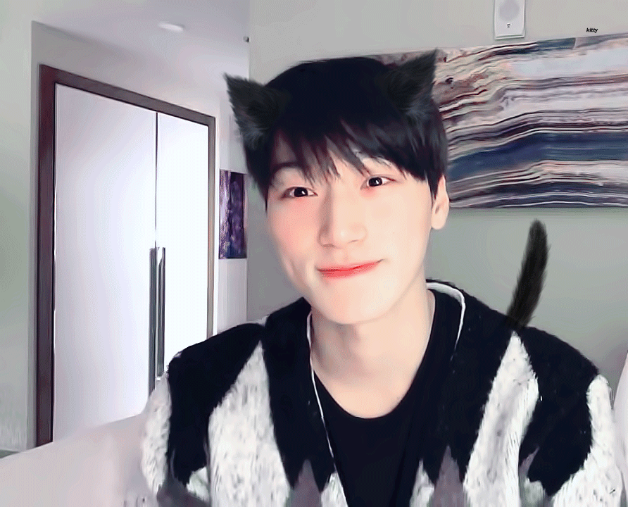 [잡담] 에이티즈 고양이들은 울음소리 다 다를 거 같다 | 인스티즈